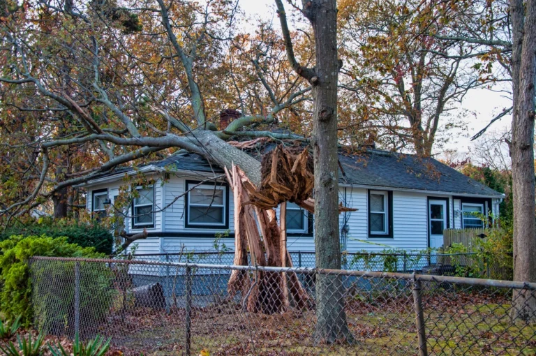 fallen tree on the house after storm
