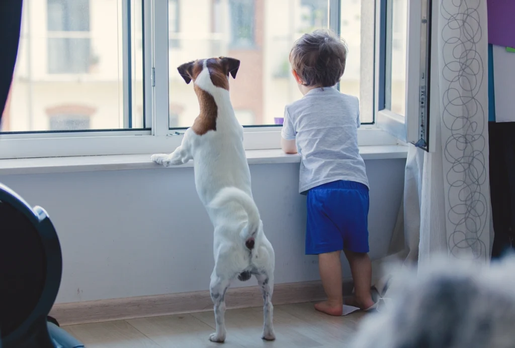 kid and dog look out window